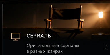 Director chair